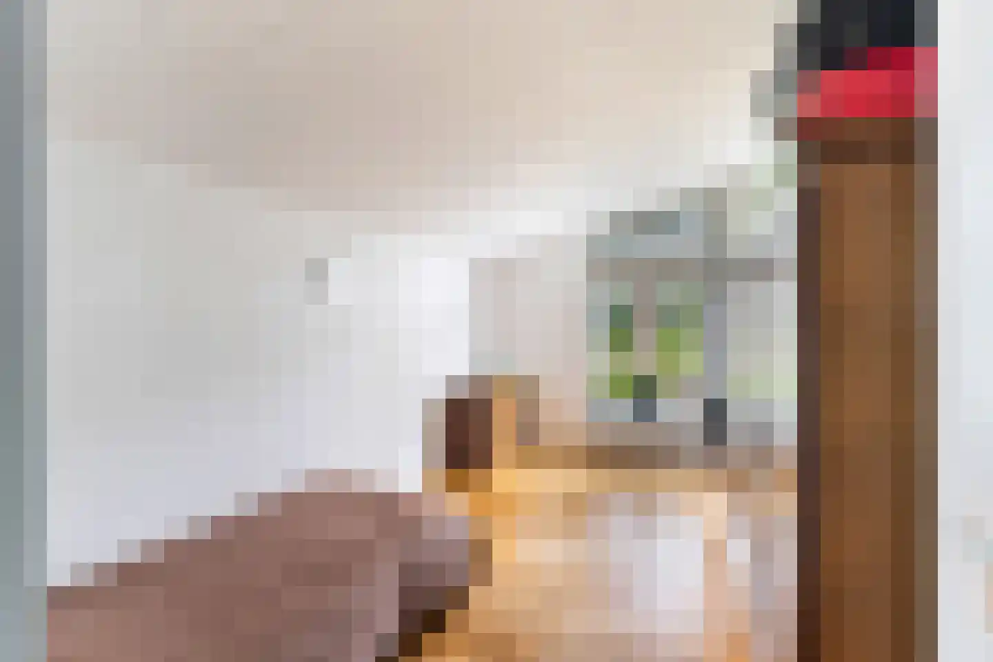 Dorpsstraat 56 Krimpen aan de Lek thumbnail 27