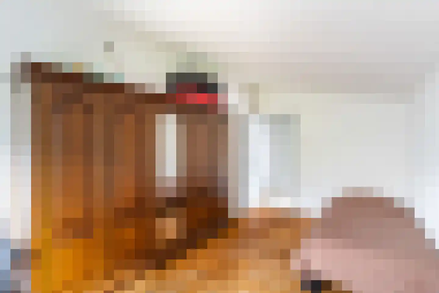 Dorpsstraat 56 Krimpen aan de Lek thumbnail 28