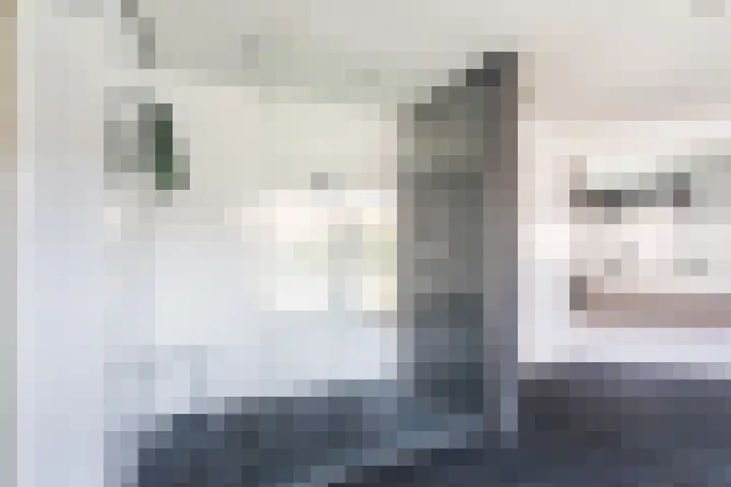 Dorpsstraat 56 Krimpen aan de Lek thumbnail 35
