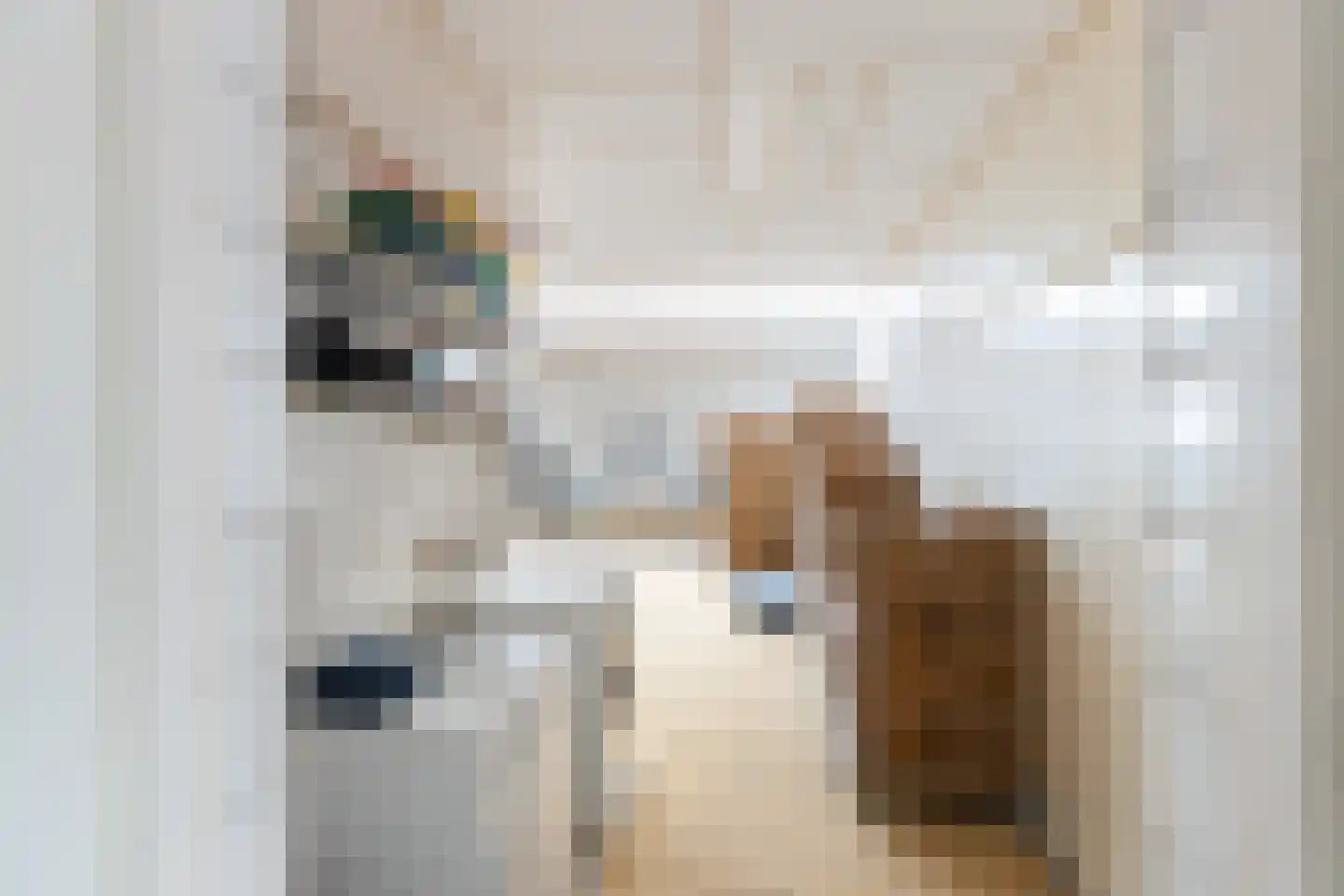 Dorpsstraat 56 Krimpen aan de Lek thumbnail 41