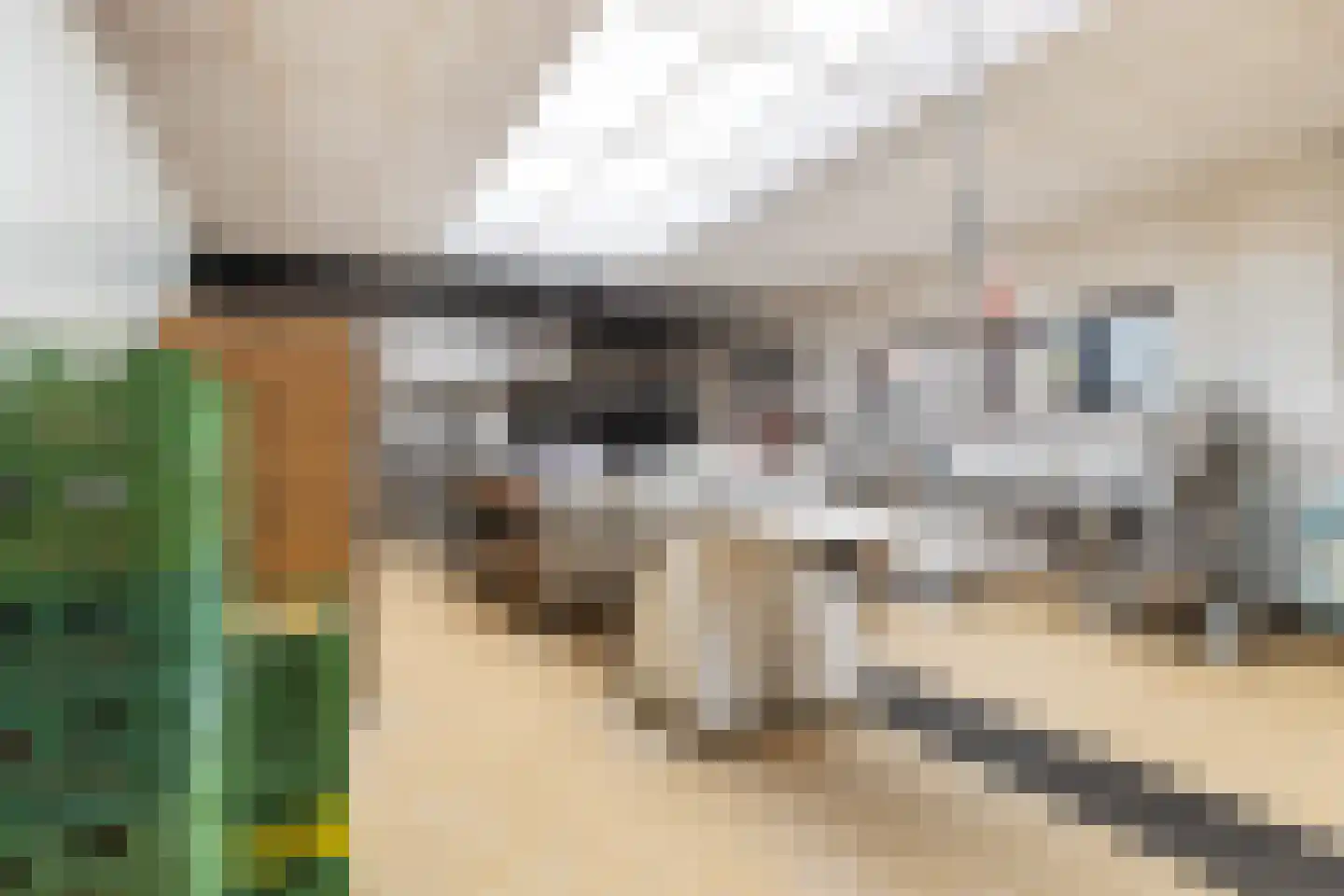 Dorpsstraat 56 Krimpen aan de Lek thumbnail 43