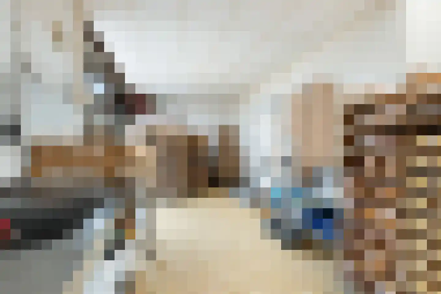 Dorpsstraat 56 Krimpen aan de Lek thumbnail 44