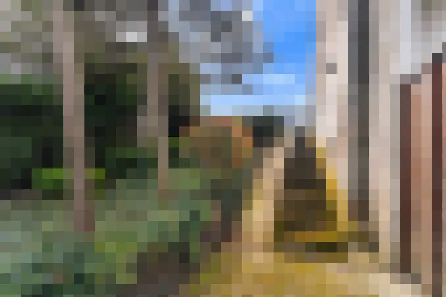 Dorpsstraat 56 Krimpen aan de Lek thumbnail 51