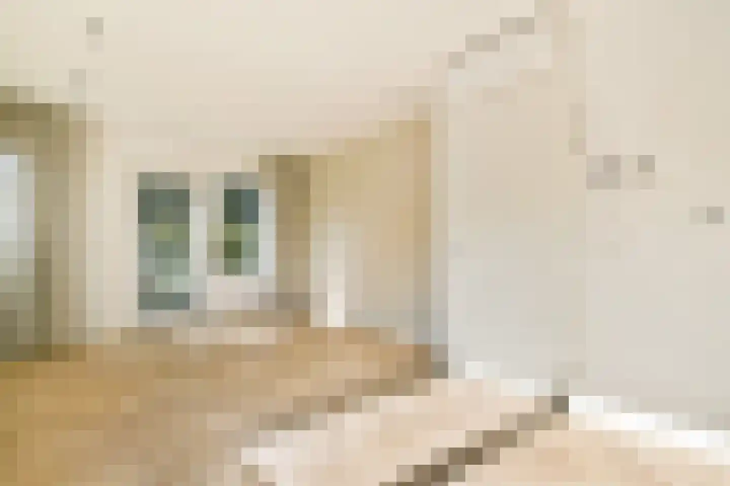 Dorpsstraat 56 Landsmeer thumbnail 15
