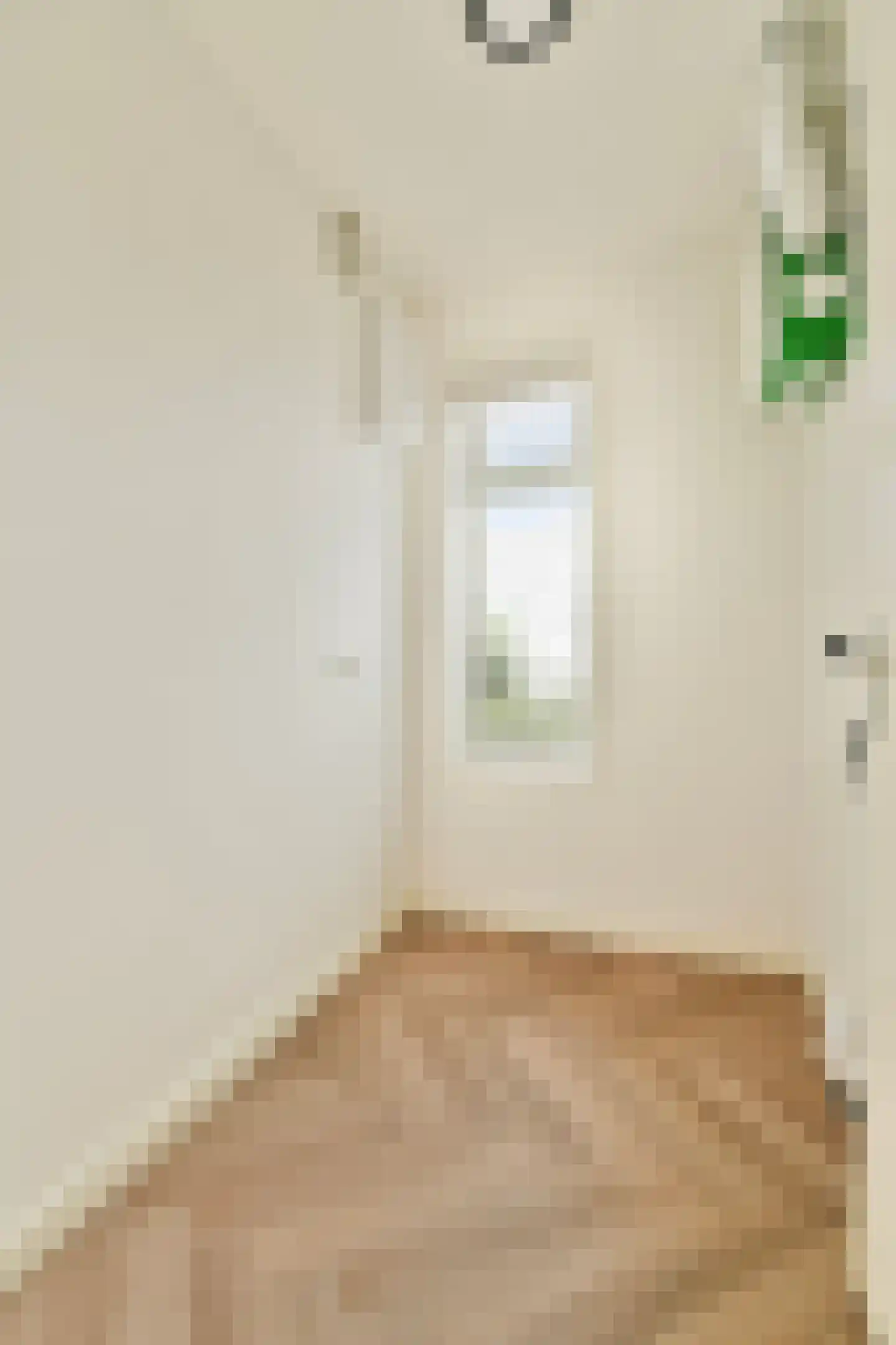 Dorpsstraat 56 Landsmeer thumbnail 9