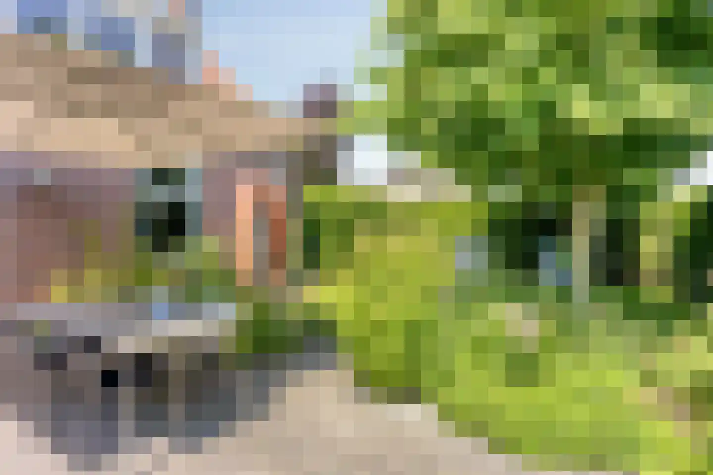 Dorpsstraat 56 Middelaar thumbnail 40