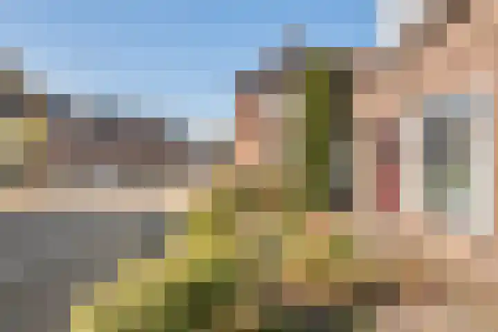 Dorpsstraat 56 Wamel thumbnail 67
