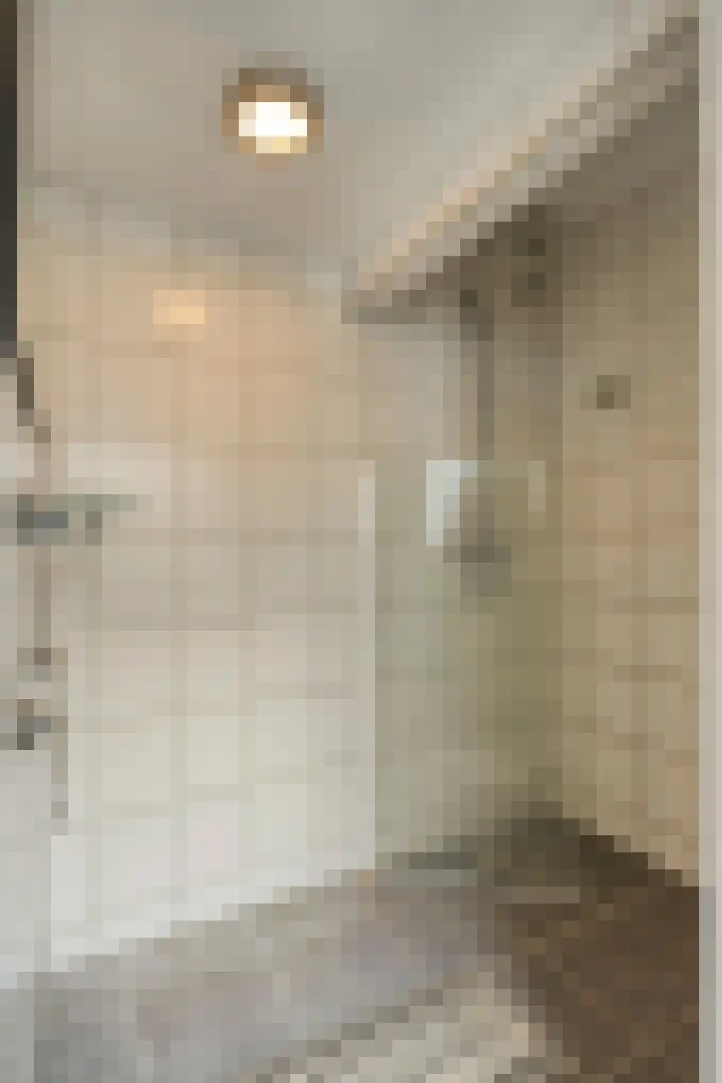 Dorpsstraat 56 Wemeldinge thumbnail 11