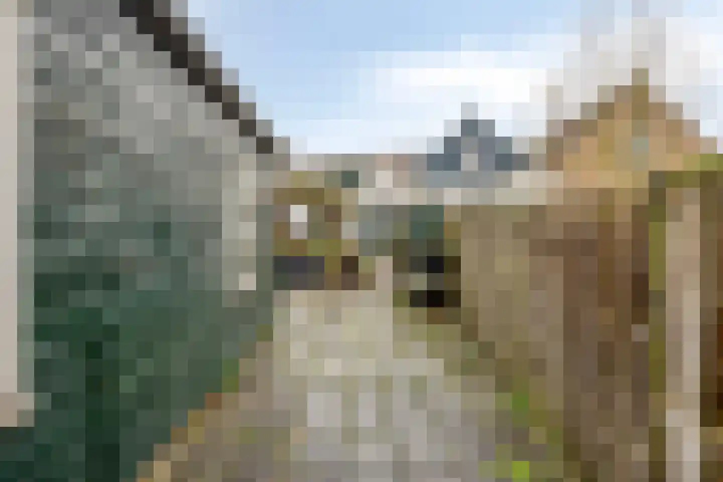 Dorpsstraat 56 Wemeldinge thumbnail 20