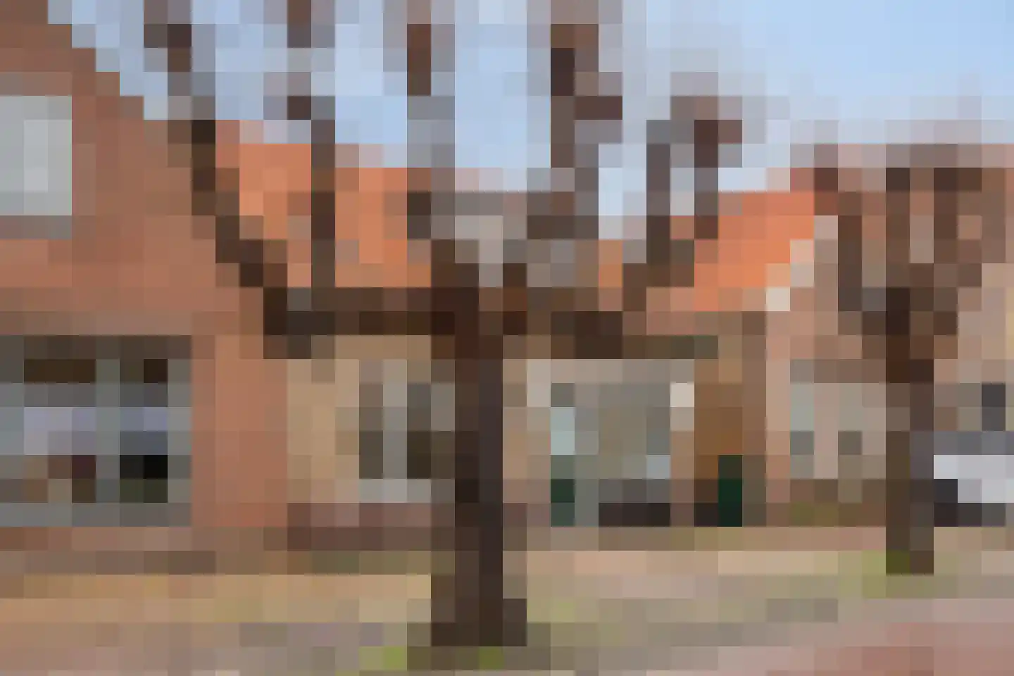 Dorpsstraat 56 Wemeldinge thumbnail 21