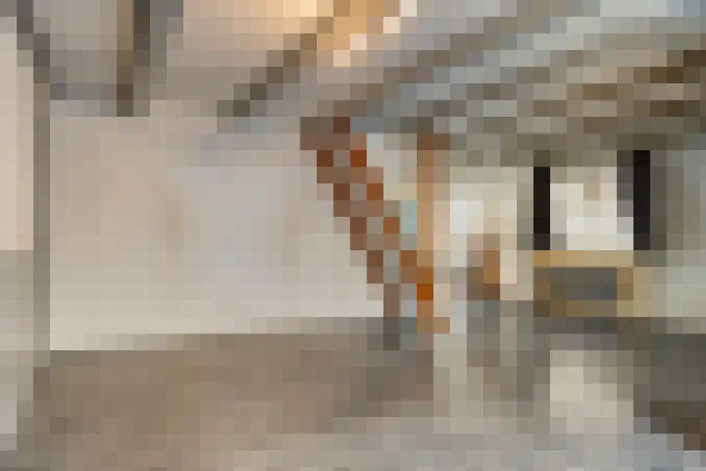 Dorpsstraat 56 Wemeldinge thumbnail 5