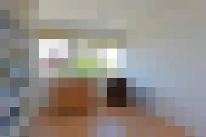 Dorpsstraat 56 Zevenhoven thumbnail 19