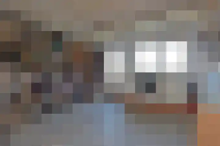 Dorpsstraat 56 Zevenhoven thumbnail 29