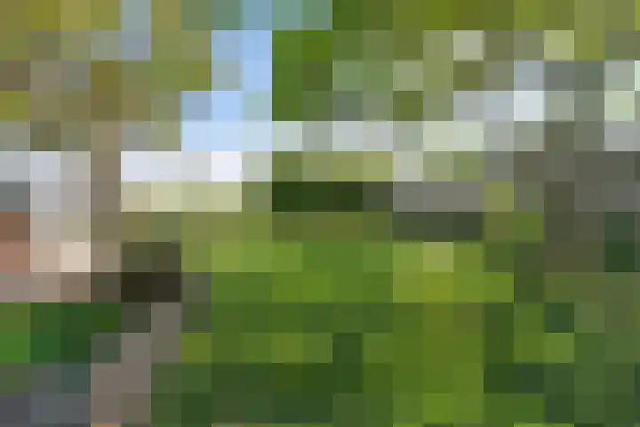 Dorpsstraat 56 Zevenhoven thumbnail 32