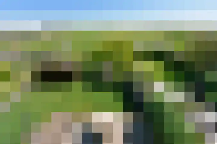 Dorpsstraat 56 Zevenhoven thumbnail 33