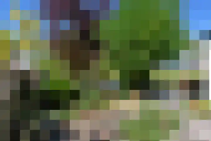 Dorpsstraat 56 Zevenhoven thumbnail 34