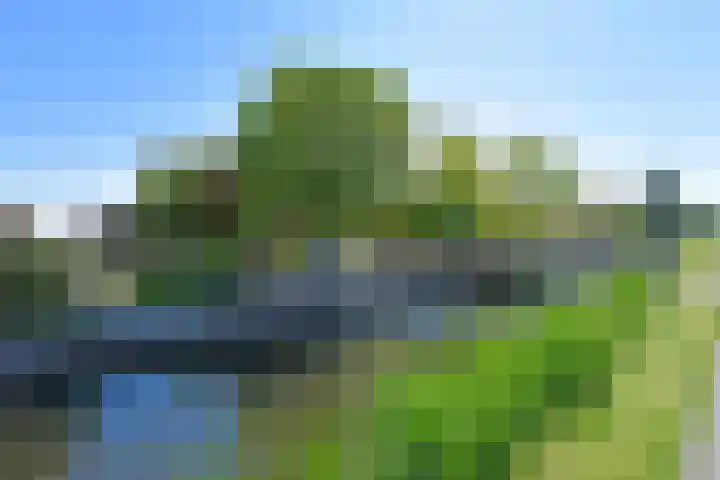 Dorpsstraat 56 Zevenhoven thumbnail 39