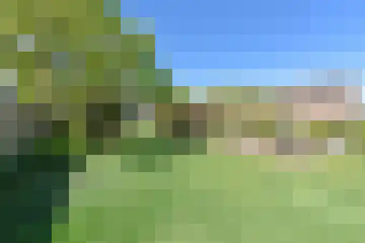 Dorpsstraat 56 Zevenhoven thumbnail 41