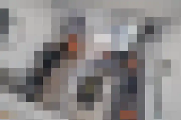 Dorpsstraat 57 Capelle aan den IJssel thumbnail 11