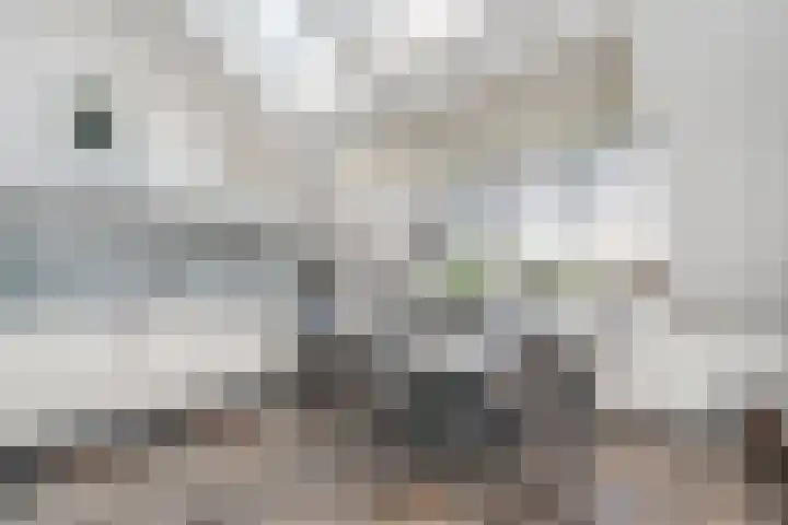 Dorpsstraat 57 Capelle aan den IJssel thumbnail 15