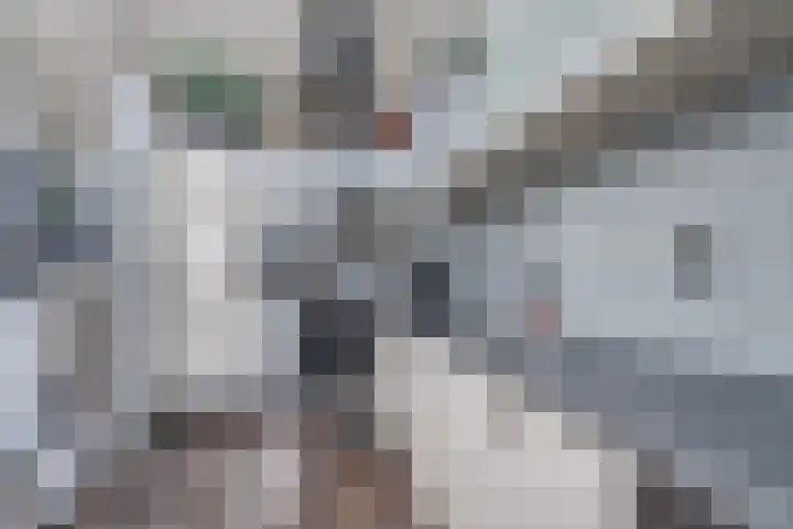 Dorpsstraat 57 Capelle aan den IJssel thumbnail 17