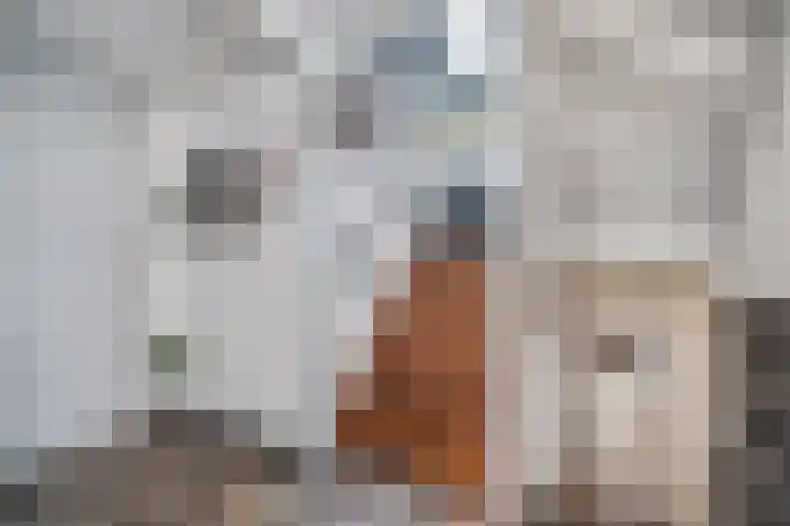 Dorpsstraat 57 Capelle aan den IJssel thumbnail 20