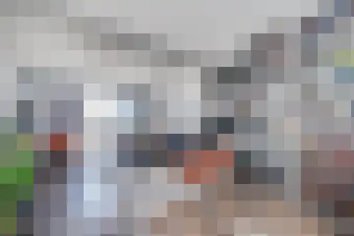 Dorpsstraat 57 Capelle aan den IJssel thumbnail 6
