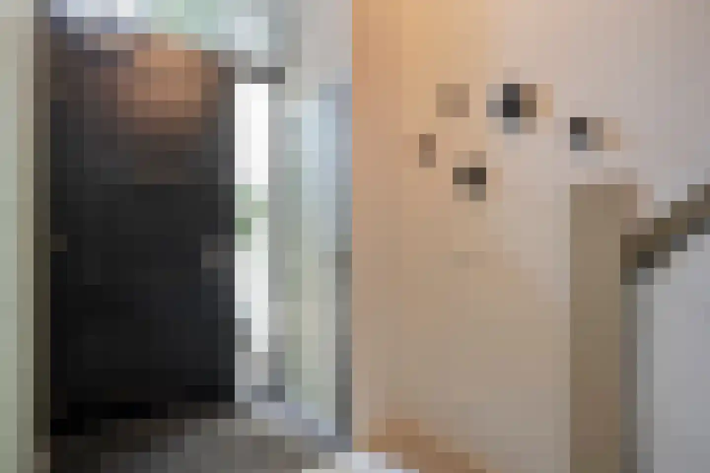Dorpsstraat 57 de Wijk thumbnail 10