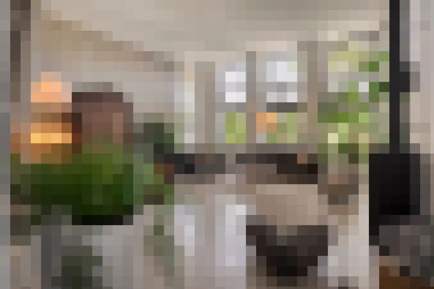Dorpsstraat 57 de Wijk thumbnail 20