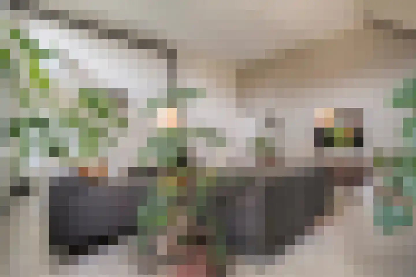 Dorpsstraat 57 de Wijk thumbnail 22