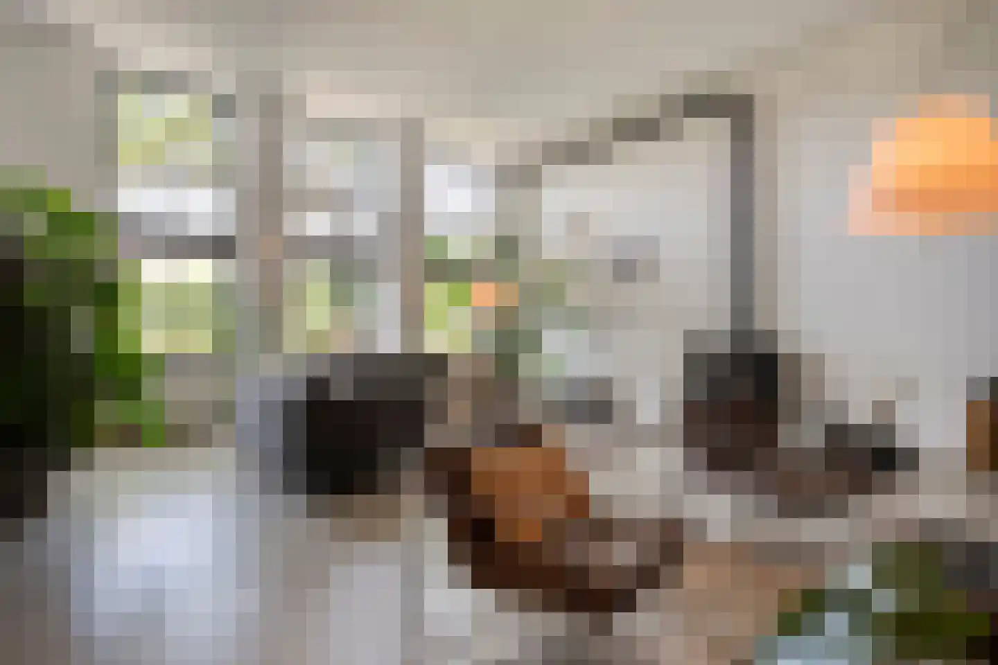 Dorpsstraat 57 de Wijk thumbnail 24