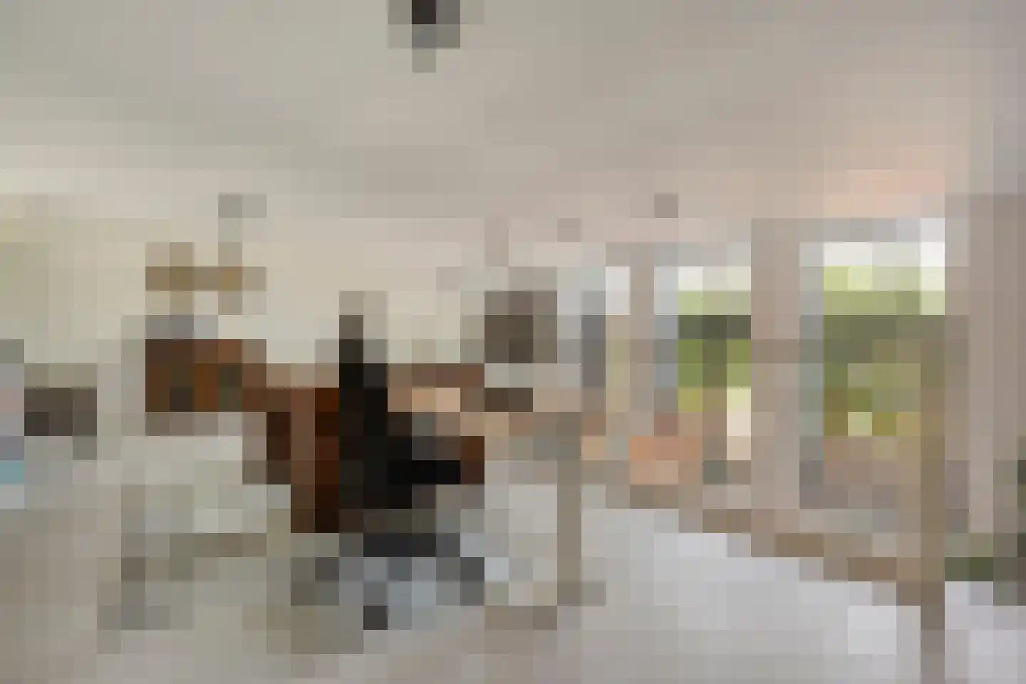 Dorpsstraat 57 de Wijk thumbnail 27