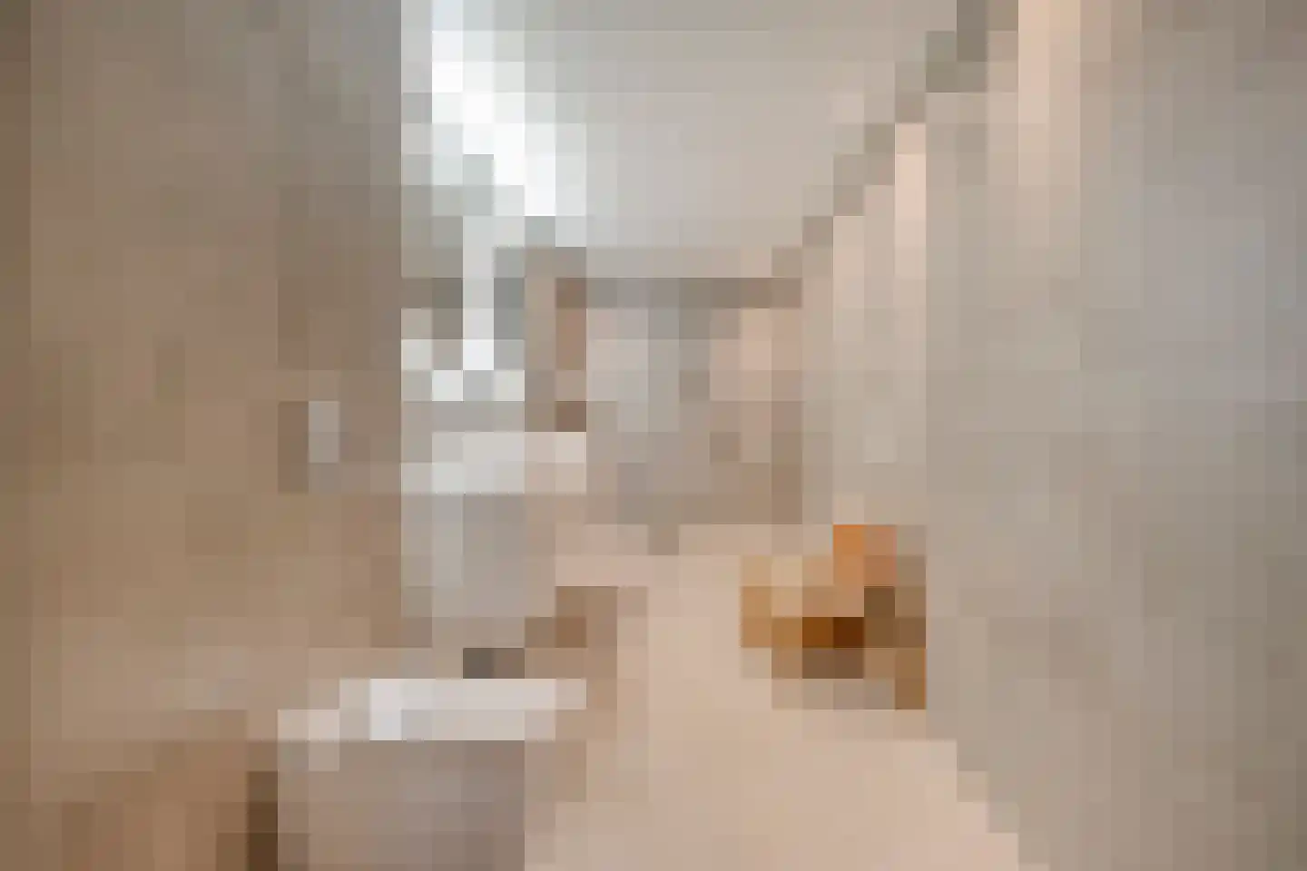Dorpsstraat 57 de Wijk thumbnail 31