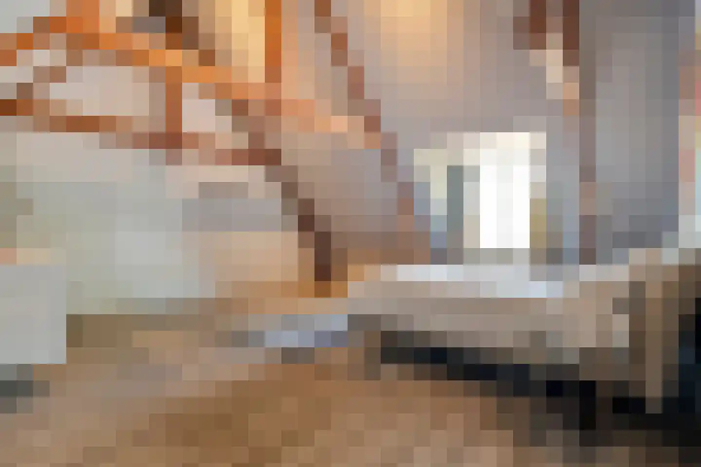 Dorpsstraat 57 de Wijk thumbnail 36
