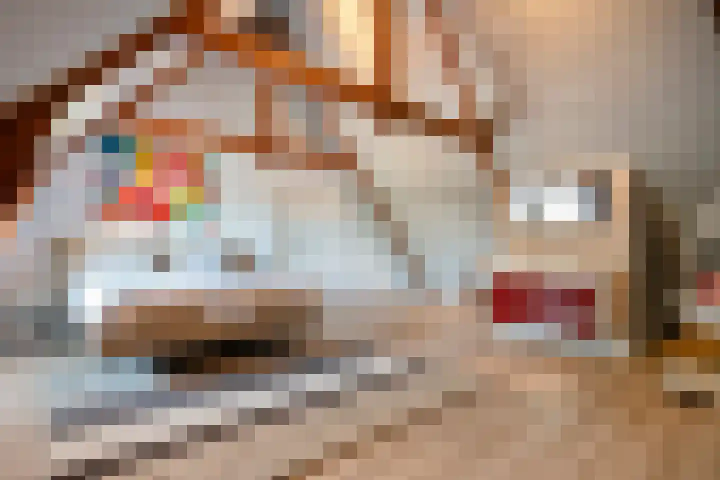 Dorpsstraat 57 de Wijk thumbnail 38