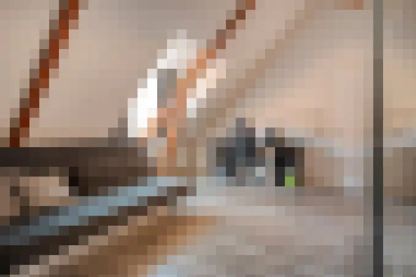 Dorpsstraat 57 de Wijk thumbnail 41