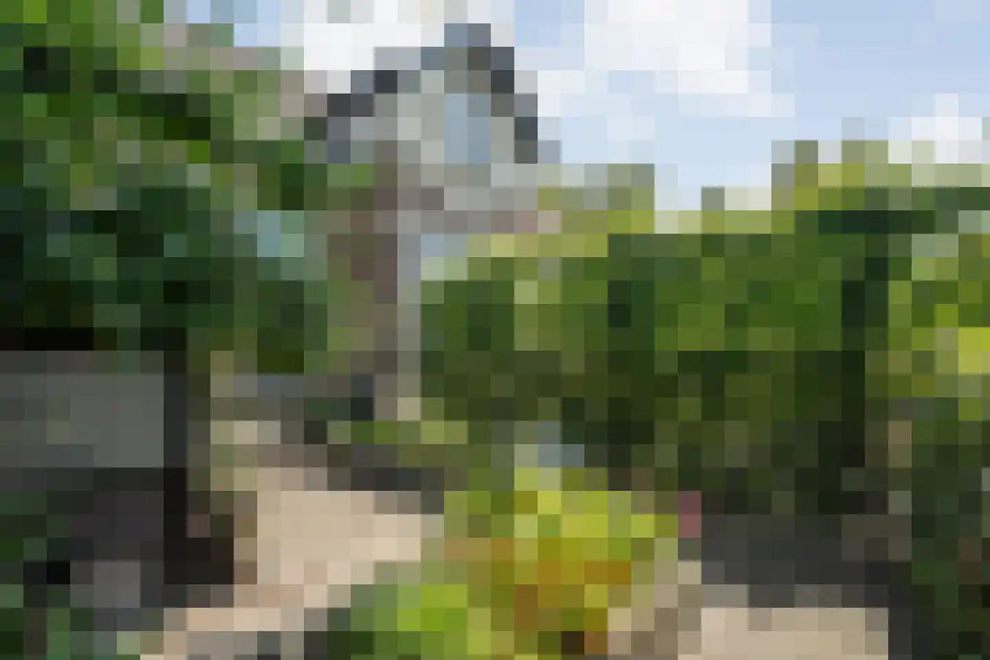 Dorpsstraat 57 de Wijk thumbnail 47