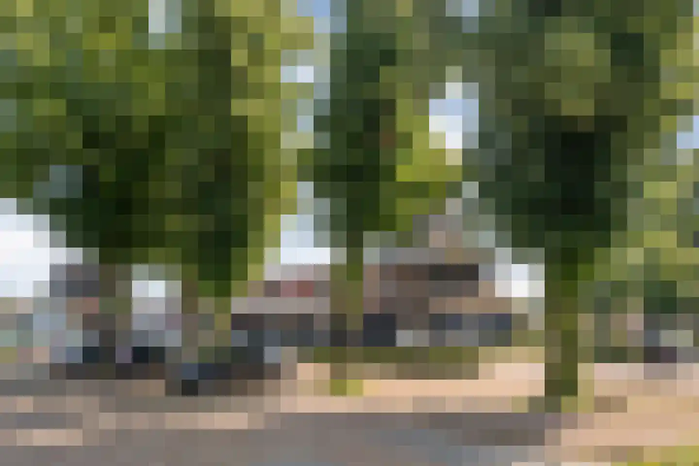 Dorpsstraat 57 de Wijk thumbnail 54