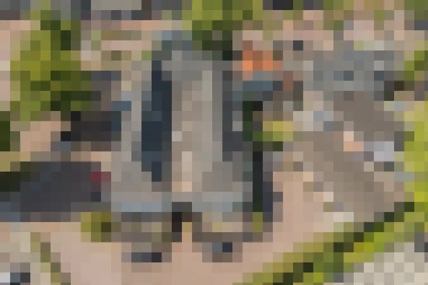 Dorpsstraat 57 de Wijk thumbnail 55