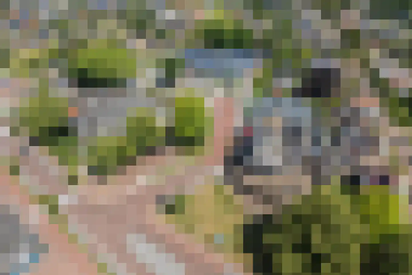 Dorpsstraat 57 de Wijk thumbnail 58