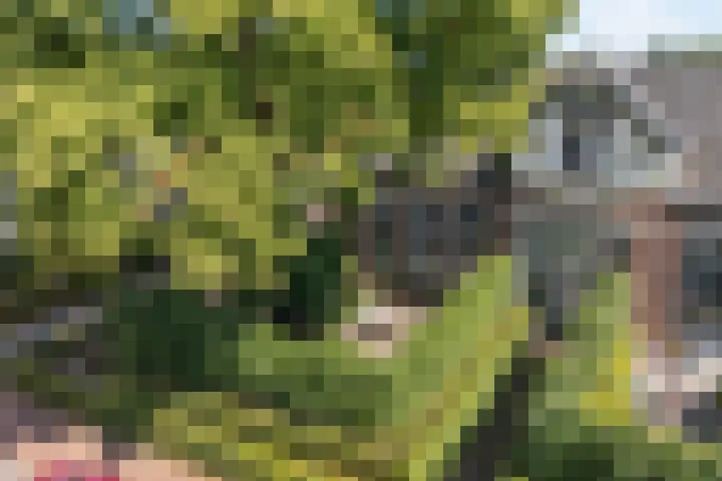 Dorpsstraat 57 de Wijk thumbnail 6