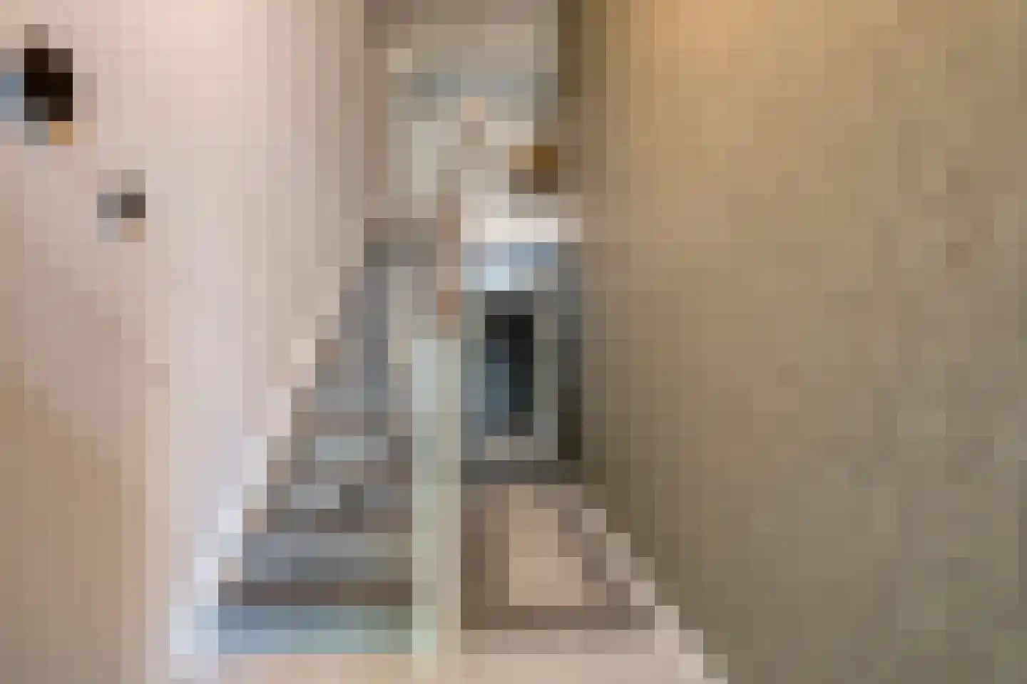 Dorpsstraat 57 de Wijk thumbnail 9