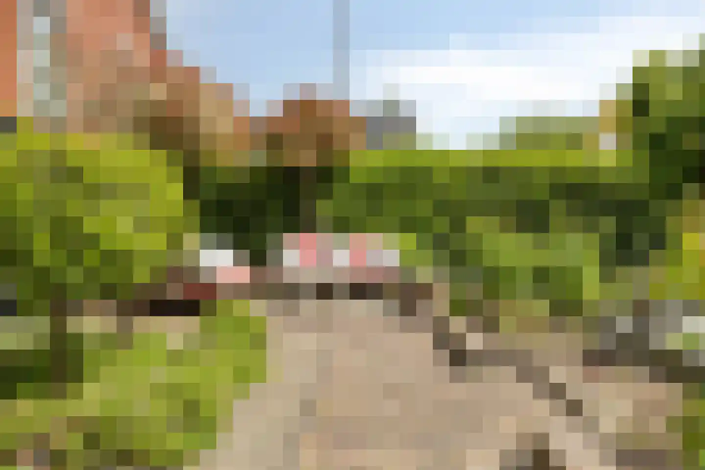 Dorpsstraat 57 Hazerswoude-Dorp thumbnail 60