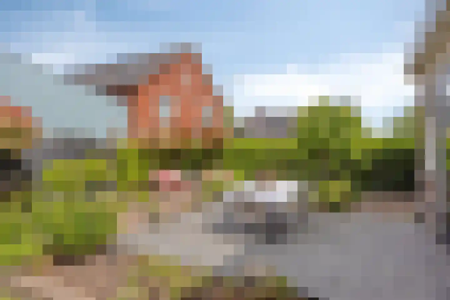 Dorpsstraat 57 Hazerswoude-Dorp thumbnail 62