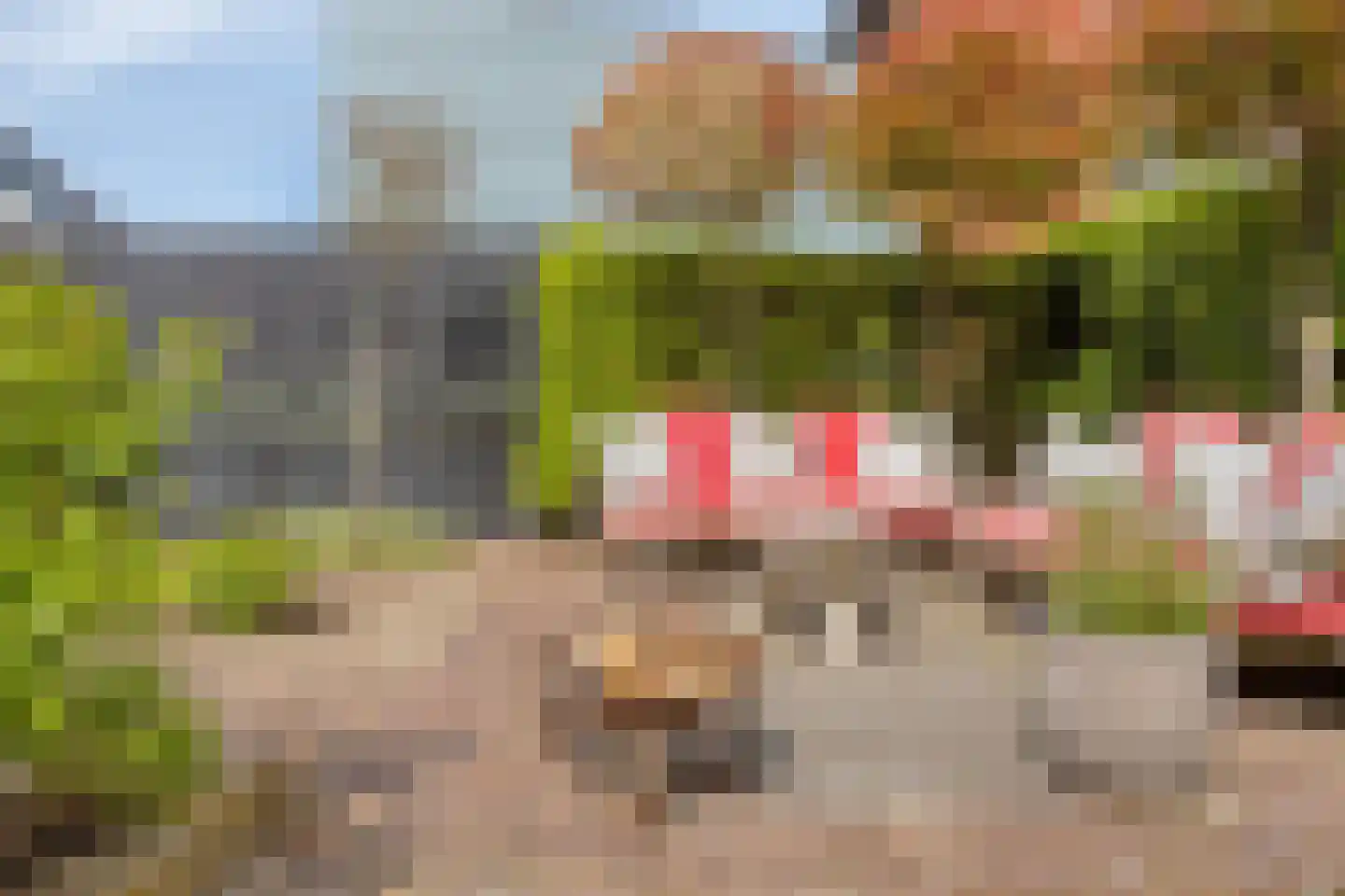 Dorpsstraat 57 Hazerswoude-Dorp thumbnail 63