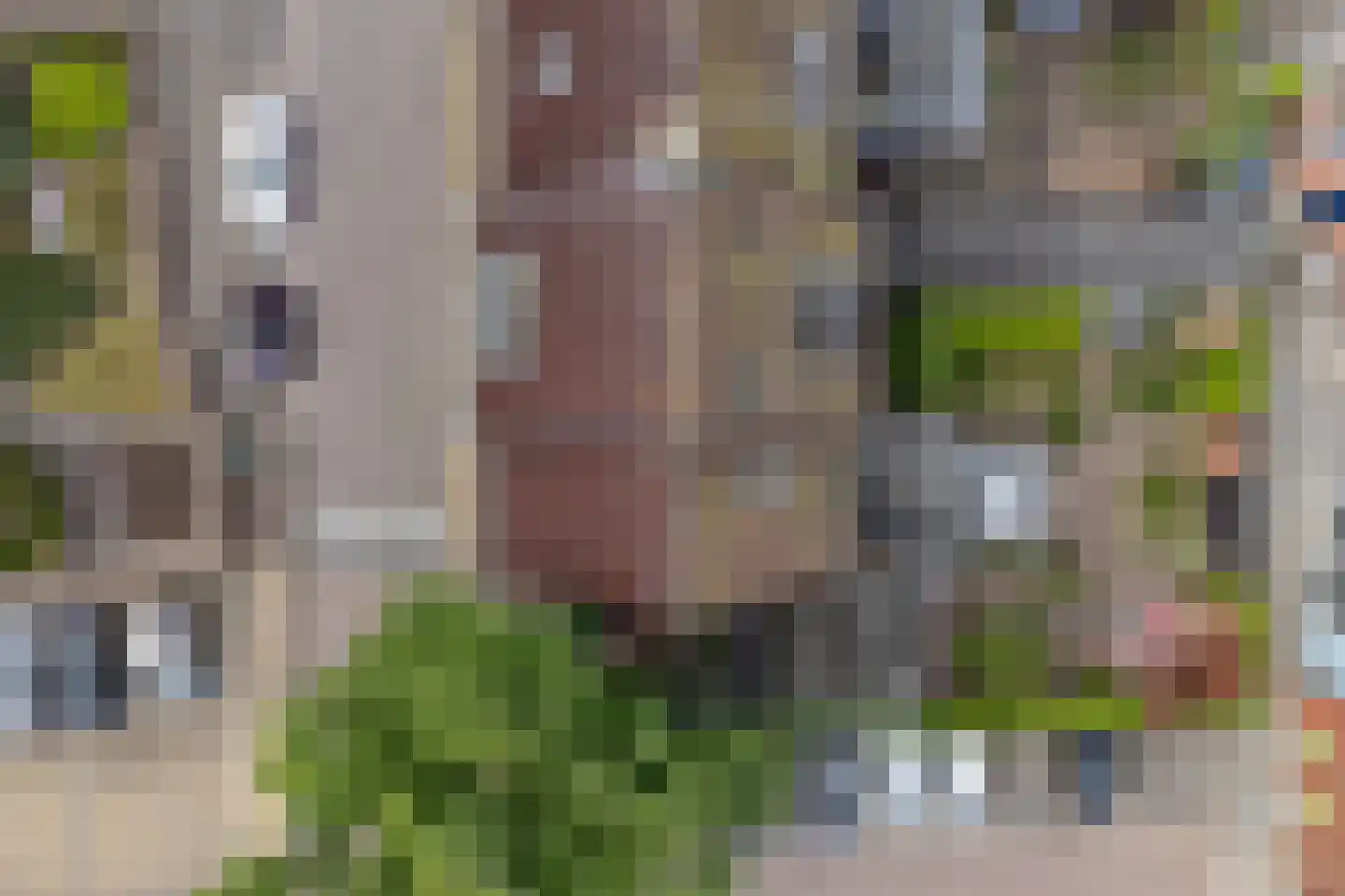 Dorpsstraat 57 Hazerswoude-Dorp thumbnail 72