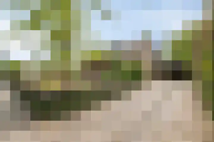 Dorpsstraat 57 Loosbroek foto 2