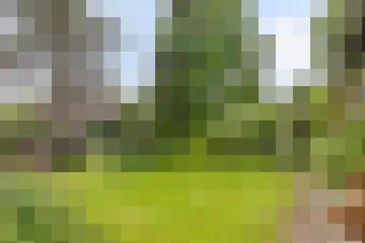 Dorpsstraat 57 Loosbroek thumbnail 42