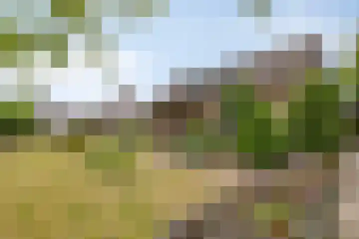 Dorpsstraat 57 Loosbroek thumbnail 46