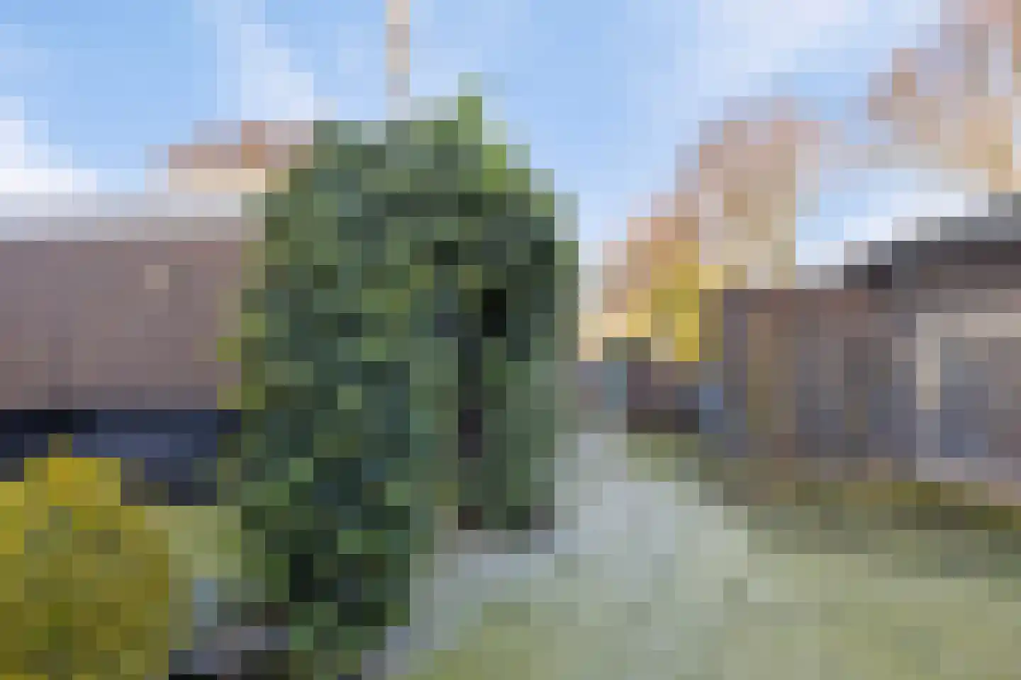 Dorpsstraat 57 Nispen thumbnail 32